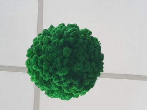 Glob cu licheni verde