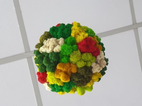 Glob cu licheni multicolor