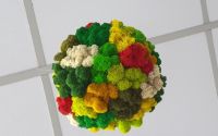 Glob cu licheni multicolor