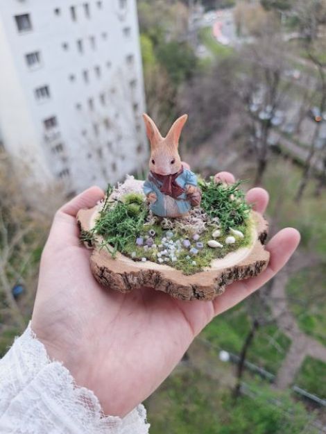 Iepuras aventurier