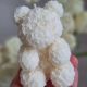 Marturie Rose Teddy
