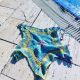 Top Starfish