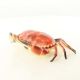 Caseta crab din fonta rosie