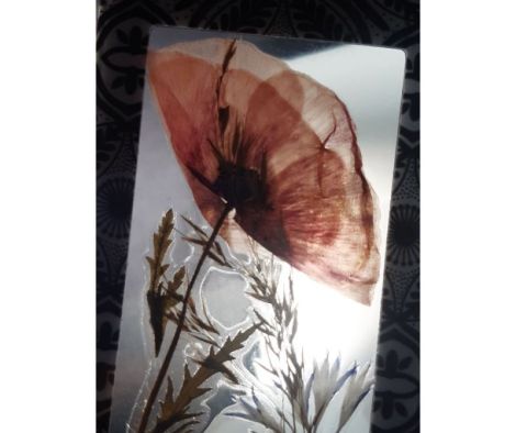 Ornament cu floare de mac