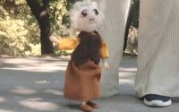 Marioneta Bunicuta