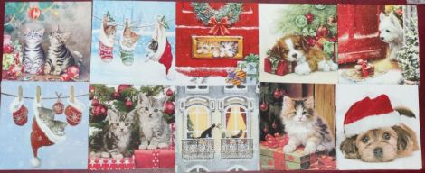 set 20 buc ANIMALE IARNA 1 servetele diferite
