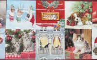 set 20 buc ANIMALE IARNA 1 servetele diferite