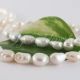 Perle cultura 7-11x6-8mm cod F9376