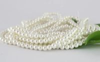 Perle seashell 3mm