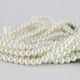 Perle seashell 3mm