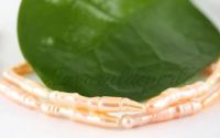 Perle cultura 18-28x4-5mm cod P01