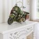 Model motocicleta Harley-Davidson
