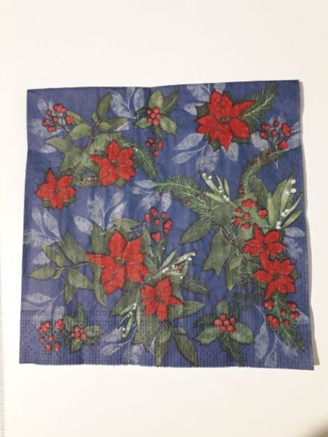 Poinsettia on Blue