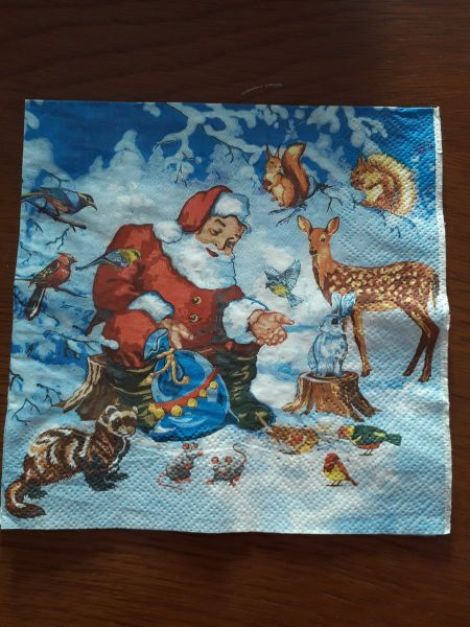 Santa and Little Animals