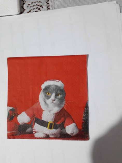 Santa Cat
