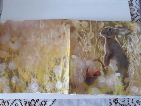 Bunny and Red Eggs