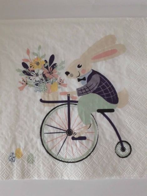 Bunny ob Bicycle