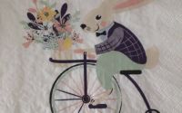Bunny ob Bicycle