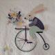 Bunny ob Bicycle