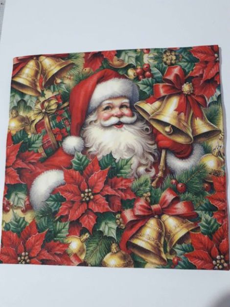 Santa and Poinsettia