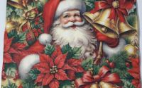 Santa and Poinsettia