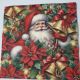 Santa and Poinsettia
