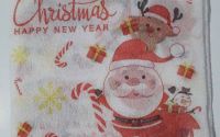 Santa Claus and Little Rudolph