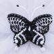 Brosa fluture