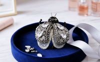Brosa insecta
