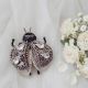 Brosa insecta