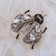 Brosa insecta