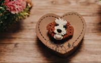 Brosa Catel Shih Tzu Handmade