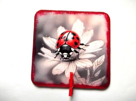 Magnet de frigider