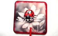 Magnet de frigider 