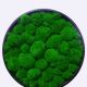 Tablou Muschi Bombat Verde 