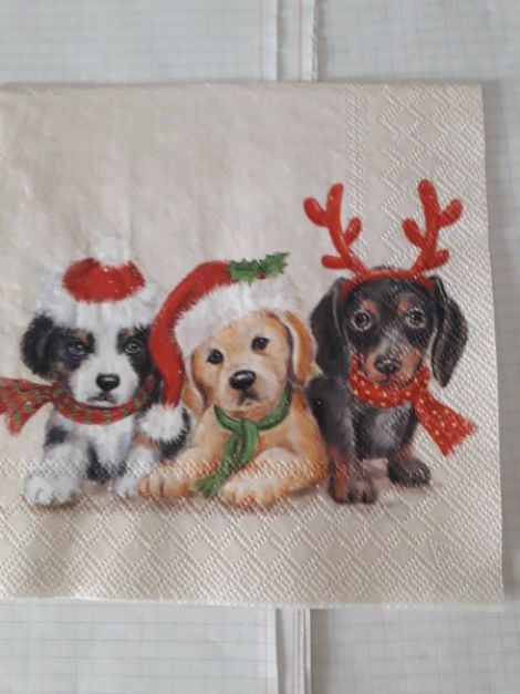 Three Christmas Puppies