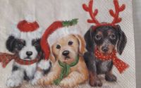 Three Christmas Puppies