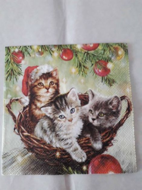 Three Christmas Kitten