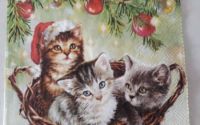 Three Christmas Kitten