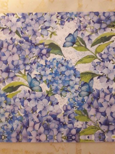 Hydrangea and Butterflies