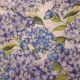 Hydrangea and Butterflies