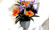 aranjament floral 