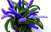 aranjament floral cu lavanda 