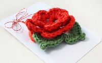 Martisor brosa