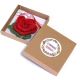 Martisor brosa