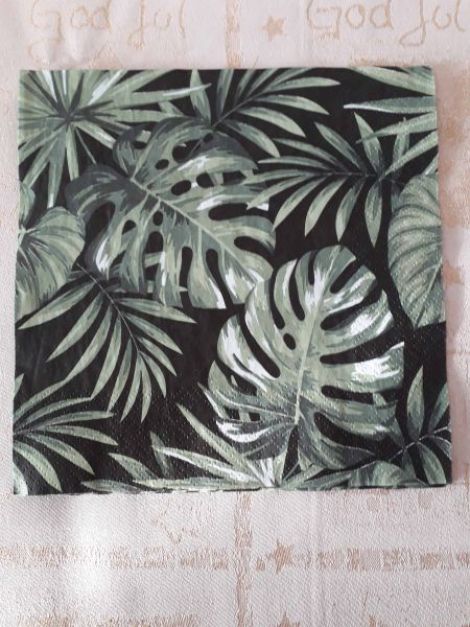 Green Palms Leaves