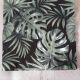  Green Palms Leaves
