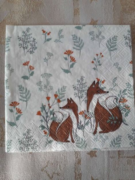 Two Foxes