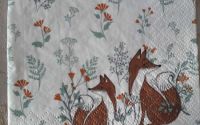 Two Foxes