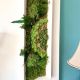 Tablou cu muschi si plante stabilizate 20x60